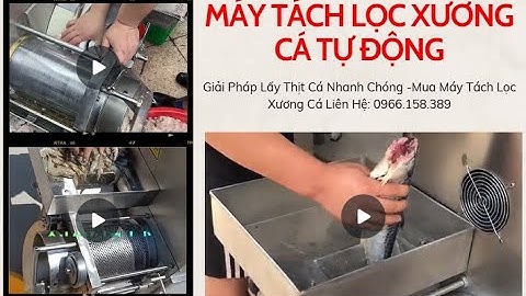 Máy Tách Lọc Xương Cá Tự Động, Giải Pháp Lấy Thịt Cá Nhanh Chóng| Điện Máy 3G