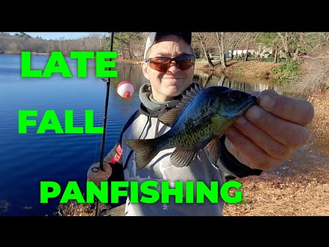 NOVEMBER LATE FALL PANFISHING!! Bank Fishing! 