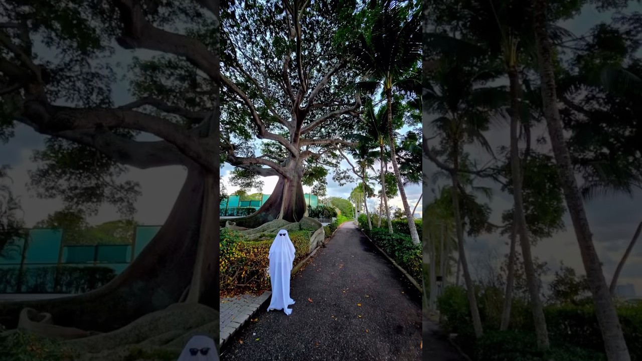 ✨GIVEAWAY✨ — There’s a ghost in town 👻 Read the caption for thr spooky scoop!  