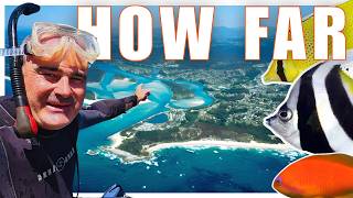 100's of Metres, Hours Underwater & Still No Anthias | But I Did Collect a Bucket of Reef Tank Fish
