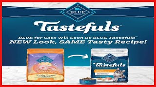 Blue Buffalo Weight Control Natural Adult Dry Cat Food, Chicken & Brown Rice