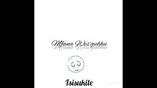 Mfana Wesgubhu - Isisukile