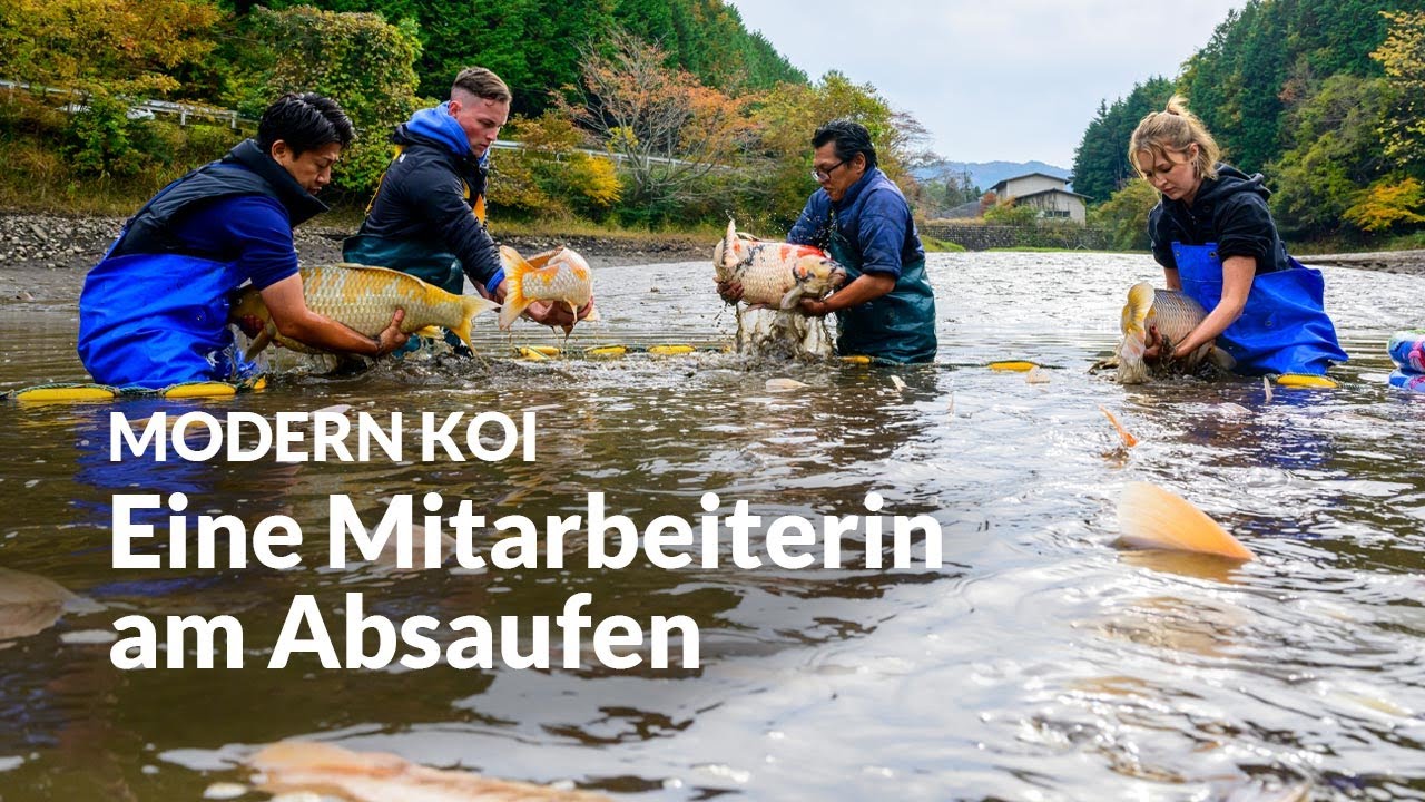 Die Ikeage Mizukoshi | Modern Koi Blog Japan #7779