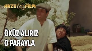 Kibar Feyzo - Öküz Alırız O Parayla Resimi