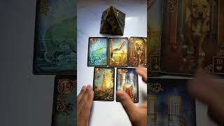 Você deve demonstrar seus sentimentos? #tarot #tarotgratis #tarotdehoje #taro #tarôs