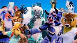 Small Con, Big Memories | TFS 2025