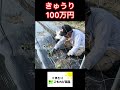 きゅうりで100万円!お金って無事 #農ある暮らし #家庭菜園 #現代農業