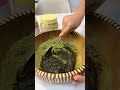السحر الاخضر للشعر جنة الخير