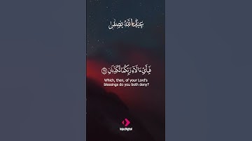 عينان نضَّاحتان وفاكهة متنوعة… تلاوة تفيض بالنعيم من سورة الرحمن – عبد الله بصفر