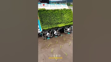 Rice Planting Machine | Paddy Planting Machine