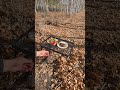 карась #карась #fish #nature #autumn #fishing