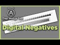 The Digital Negative - Appendix A - QTR Step Wedge Tool
