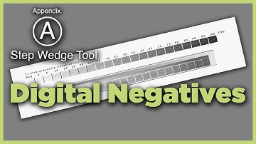 The Digital Negative - Appendix A - QTR Step Wedge Tool