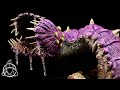 Craft a purple worm with over 70 real sharks teeth for dungeons and dragons