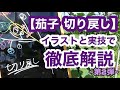 【茄子 切り戻し】イラストと実技で徹底解説‼︎~第2弾~