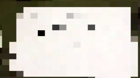 Holiday Leave Loading