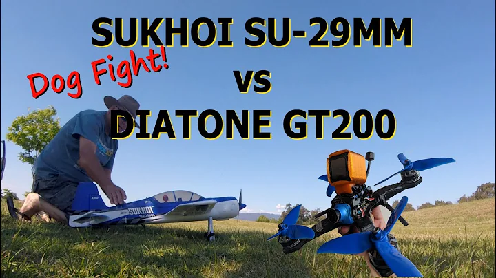 Who Wins? STUNT PLANE vs DRONE [ Sukhoi SU-29MM vs Diatone GT200 ]