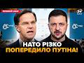 У НАТО ЖОРСТКО відповіли ПУТІНУ Рютте НЕ СТРИМАВСЯ Зеленський ОШЕЛЕШИВ ВСІХ у Мюнхені 24онлайн