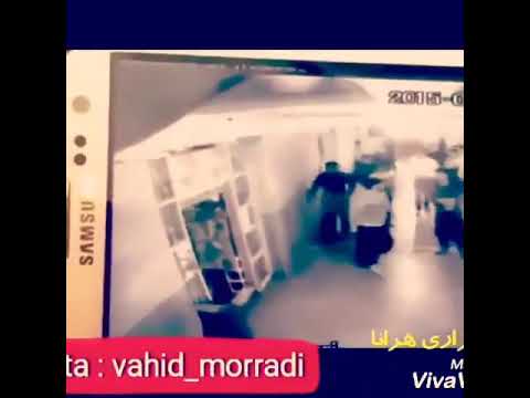 Mafia Vahid moradi - وحید مرادی 😯