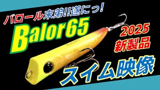 （2025新製品）バロール65のスイム映像、フォールスピードチェックしてみた,ECRIPSE Balor65