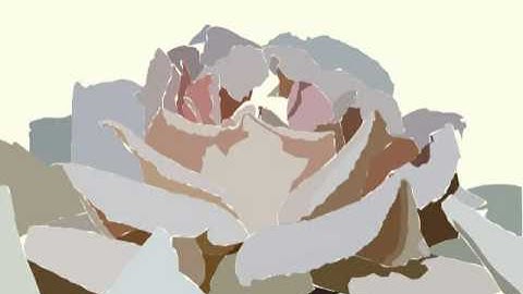 Rose Rotoscope.avi