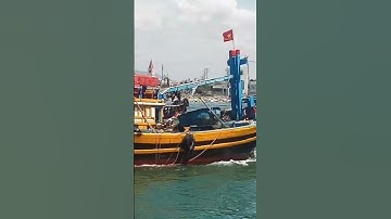 shorts buổi trưa cửa biển có biến