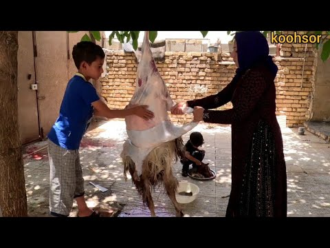 Rural life:Butchering and skinning of goat carcass.