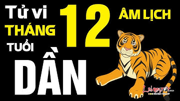 Tử Vi Tuổi Dần Tháng 12 Âm Lịch Năm 2019 Sự Nghiệp Thuận Lợi Tiền Bạc Đủ Đầy  - Tử vi 12 con giáp