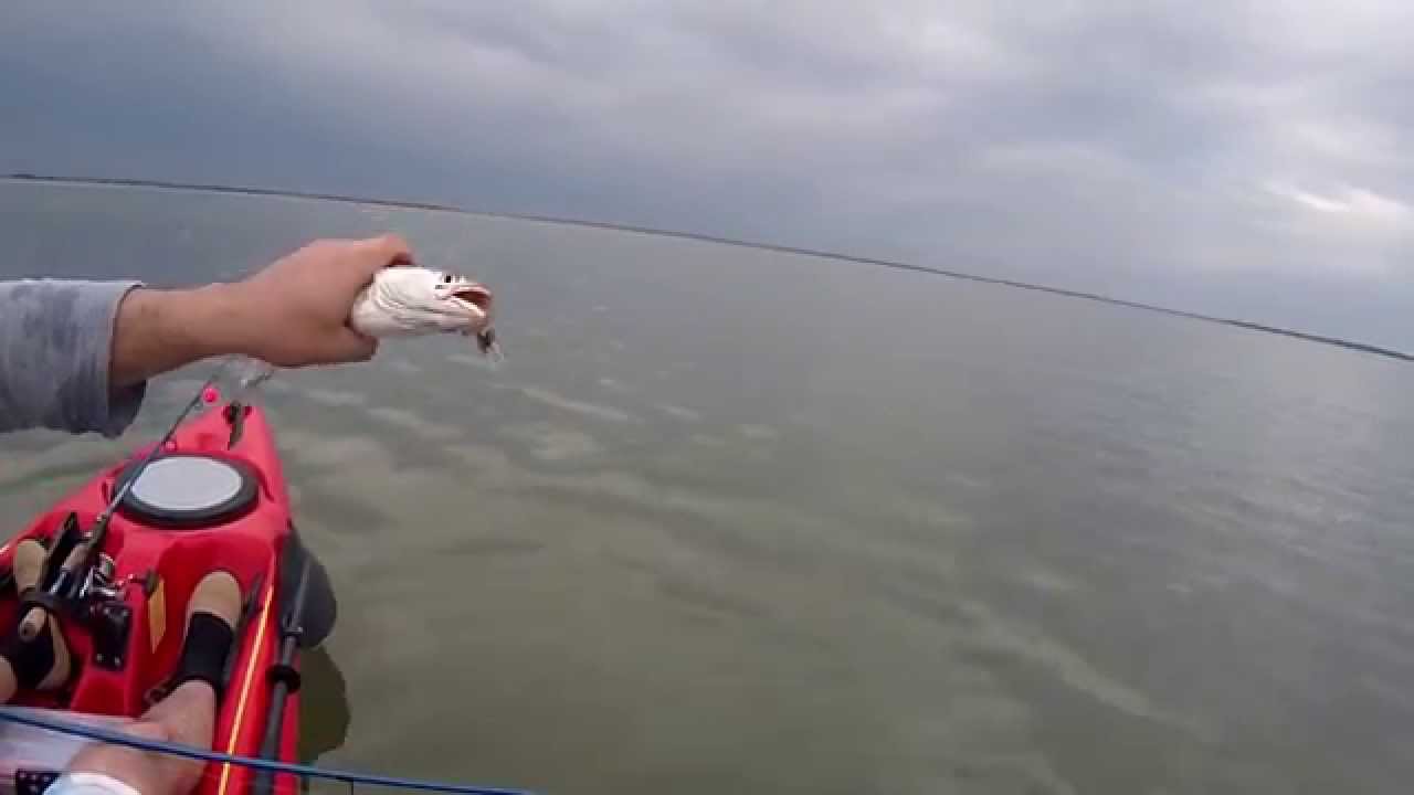 COPANO BAY SPECKLED TROUT - VUDU SHRIMP + POPPING CORK - KAYAK FISHING