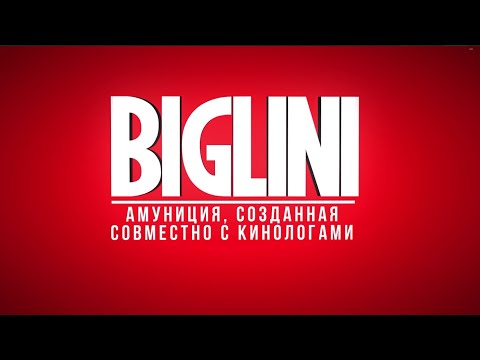 Как правильно отрегулировать шлейку? Инструкция BIGLINI