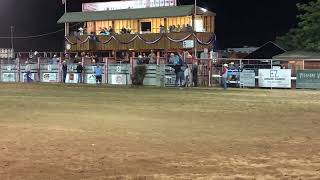Alex Guzman Springville California Prca