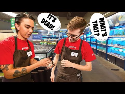 THE VIDEO THAT PETCO DOES NOT WANT YOU TO SEE