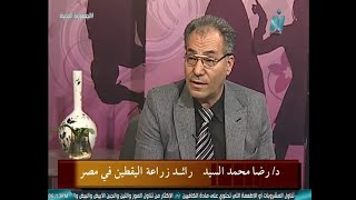 ادم فى شباب كل يوم- لقاء مع- د\ رضا محمد السيد رائد زراعة اليقطين فى مصر