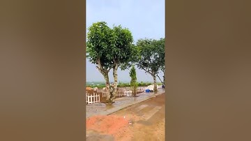 CẦN BÁN 2 LÔ ĐẤT LIỀN KỀ  THỔ CƯ 100%  ĐƯỜNG XE TẢI - Xã Lộc Quảng, Huyện Bảo Lâm, Tỉnh Lâm Đồng