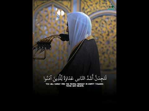 لتجدن أشد الناس عداوة تلاوة لم أجد لها وصف من جمالها للشيخ أ د أحمد بن طالب بن حميد Shorts 