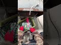 Cut chips from waste circuit boards
