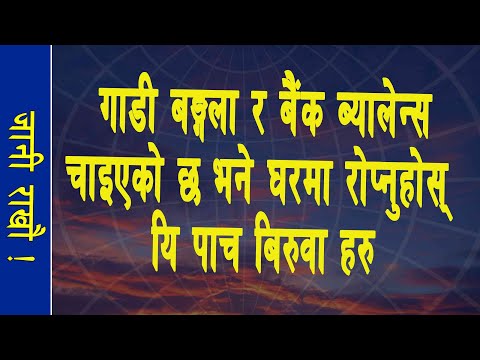 गाडी घर बैंक ब्यालेन्स चाइयको छ भने घरमा रोप्नुहोस यी पाच बिरुवा/bank balance,home,car