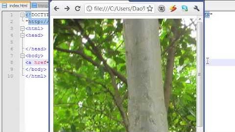 Tự học HTML bài 9) Lập trình web HTML CSS Javascript   YouTube