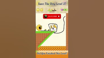 Save The Dog Level 37 #shorts #shortvideo #viral