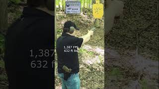 Are you Really 'More Armed' with the 9mm Because of Higher Capacity? (VS .357 Magnum)
