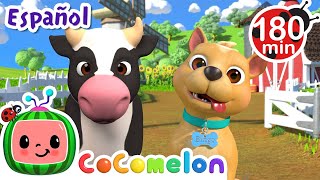 Bingo en la granja | CoComelon y los animales 🍉| Dibujos para niños by CoComelon y Animales - Canciones infantiles 22,569 views 1 month ago 3 hours, 2 minutes