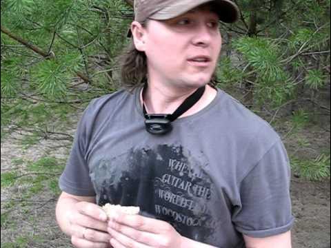 Интервью. Алексей Царегородцев - YouTube