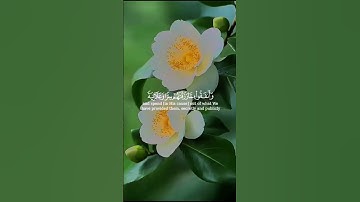 القران الكريم راحة نفسية تلاوة خاشعة حالات واتساب قران كريم 🩵💜❤️ #حالات_واتس_اب