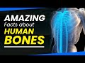 Bone Facts and Trivia Quiz