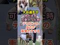 ㊗️80万再生👏大谷選手が他の犬を可愛がった時デコピンの反応が衝撃的すぎる #大谷翔平 #プロ野球 #shortsyoutube