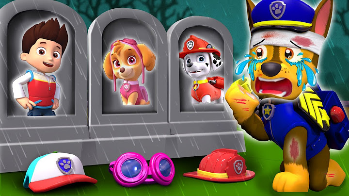Goodbye All My Friends!!! - Don't Leave Chase Alone | Paw Patrol 3D Animation | Rainbow 3