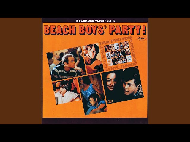 BEACH BOYS - YOU'VE GOT TO HIDE YOUR LOVE AWAY