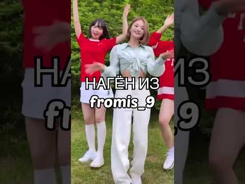 Айдолы с кукольной