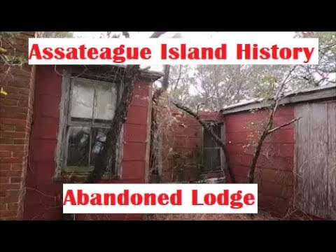 Video: Assateague salas nacionālā jūrmala