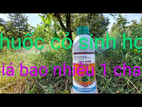 Video thuốc cỏ sinh học không làm chai đất hoặc cháy rể non... - YouTube
